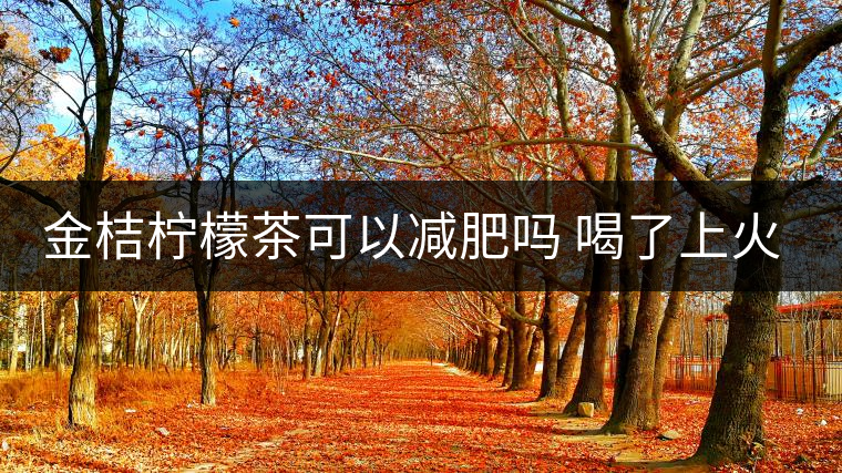 金桔檸檬茶可以減肥嗎 喝了上火嗎 金桔檸檬茶可以減肥嗎 喝了上火嗎