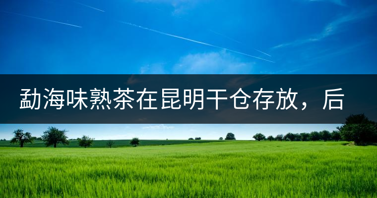 勐海味熟茶在昆明干倉存放，后期轉(zhuǎn)化如何呢？