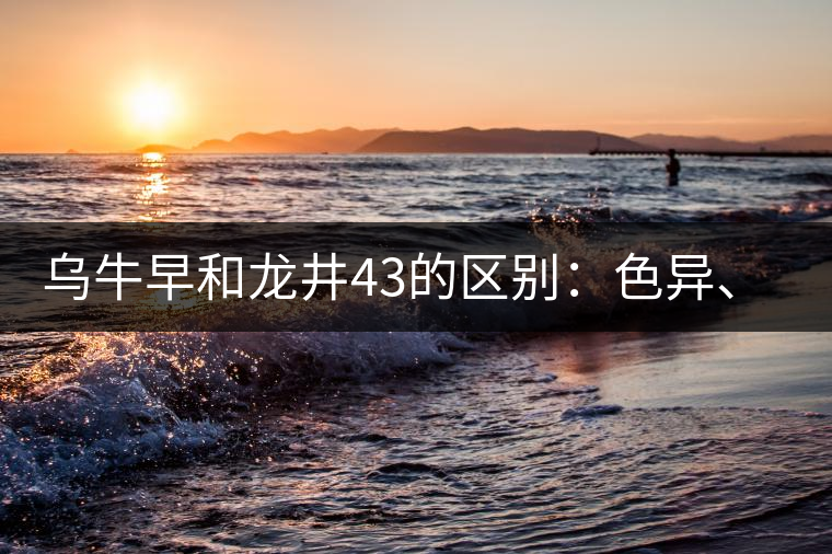 烏牛早和龍井43的區(qū)別：色異、香異、形異