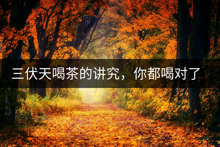 三伏天喝茶的講究，你都喝對了嗎？