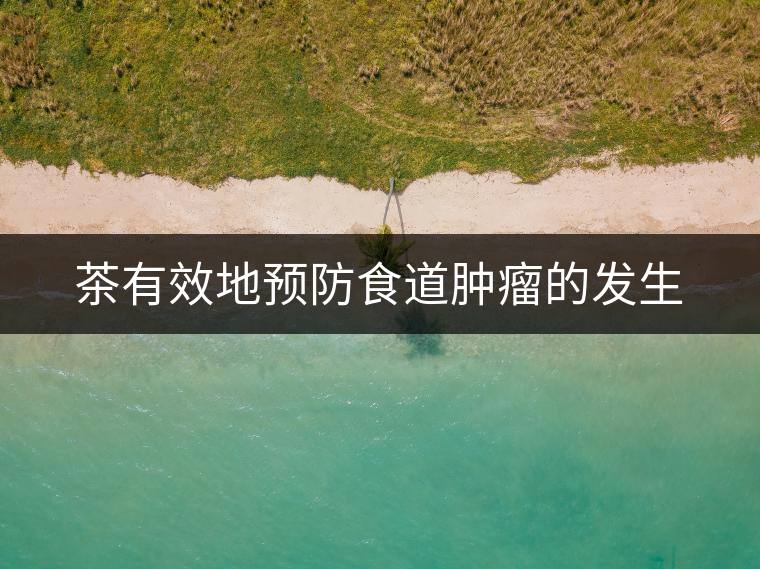 茶有效地預(yù)防食道腫瘤的發(fā)生 茶有效地預(yù)防食道腫瘤的發(fā)生