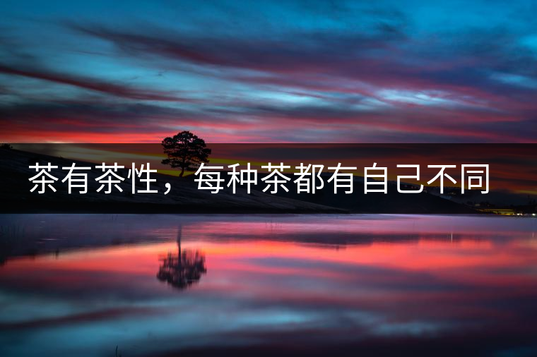 茶有茶性，每種茶都有自己不同的正確泡法