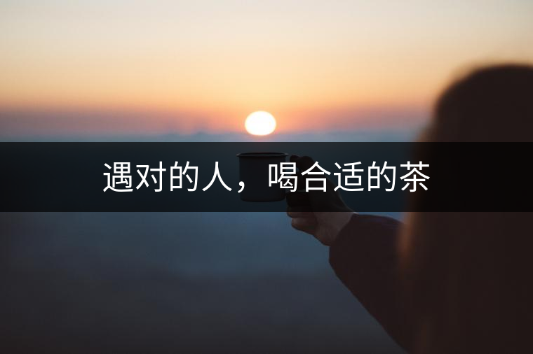 遇對的人，喝合適的茶