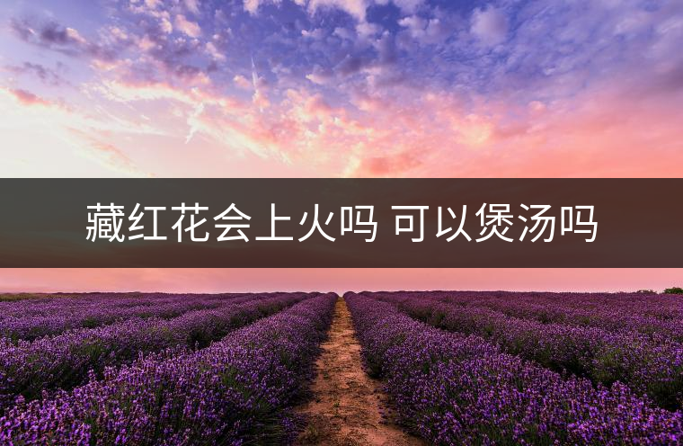 藏紅花會上火嗎 可以煲湯嗎 藏紅花會上火嗎 可以煲湯嗎