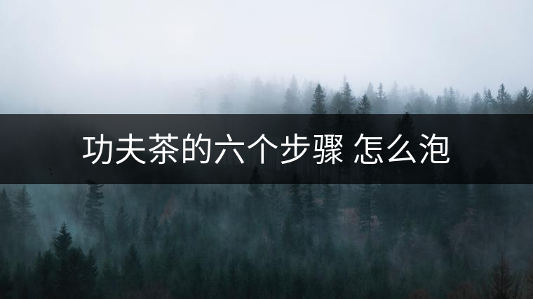 功夫茶的六個(gè)步驟 怎么泡