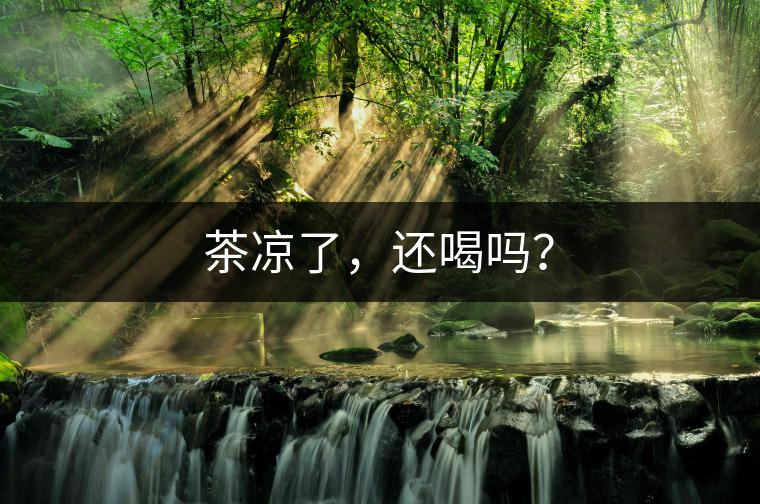 茶涼了，還喝嗎？