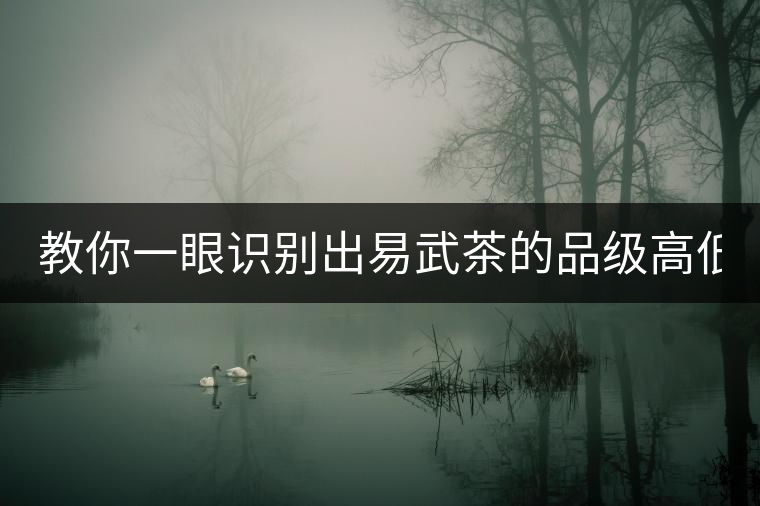 教你一眼識(shí)別出易武茶的品級(jí)高低！