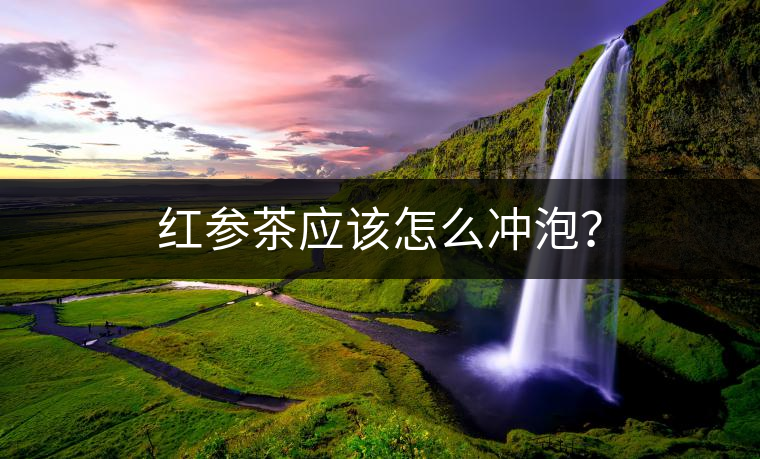 紅參茶應(yīng)該怎么沖泡？