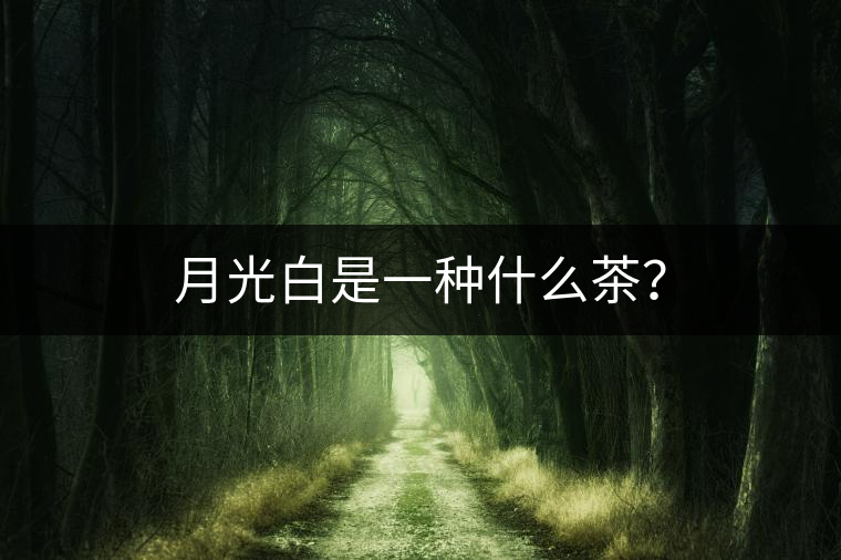 月光白是一種什么茶？