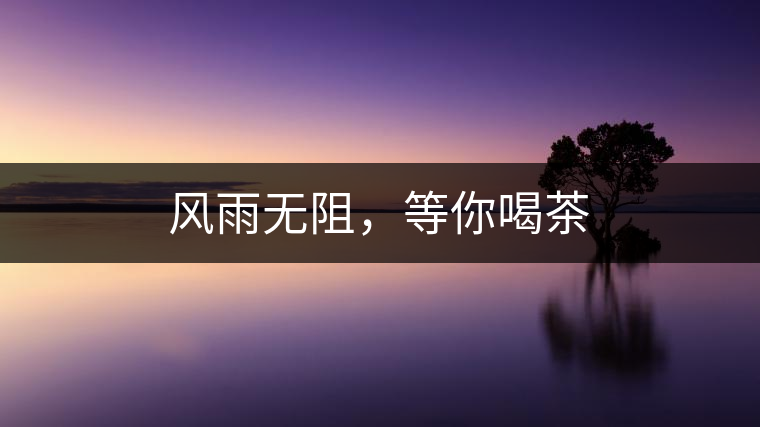 風(fēng)雨無阻，等你喝茶