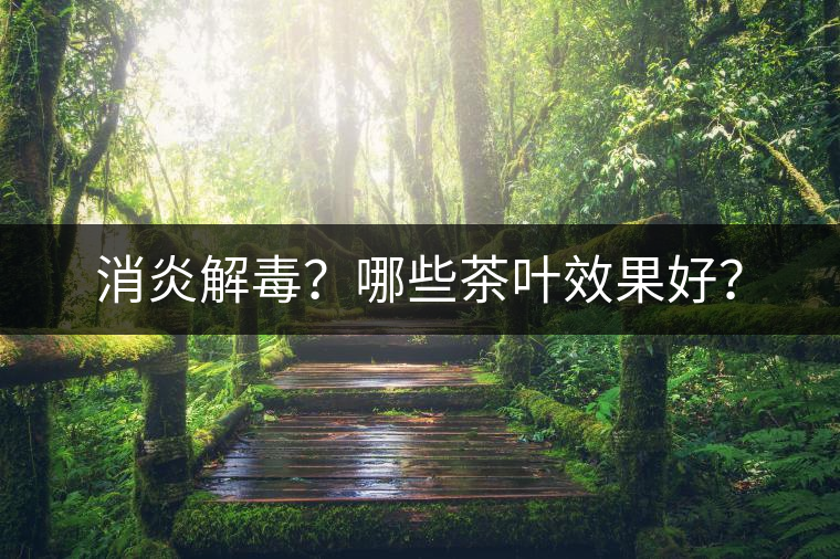 消炎解毒？哪些茶葉效果好？