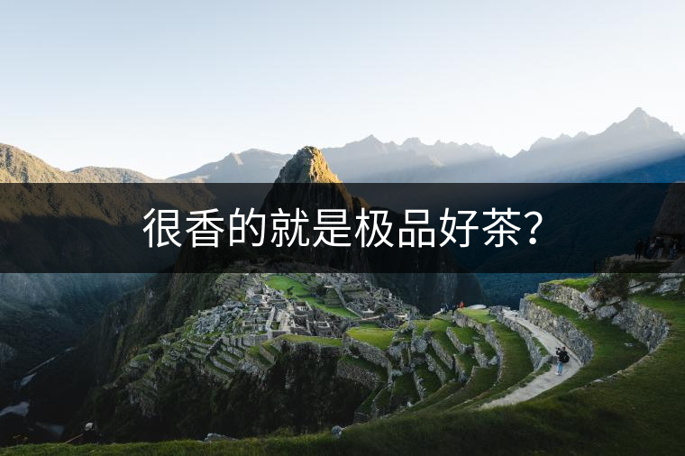 很香的就是極品好茶？