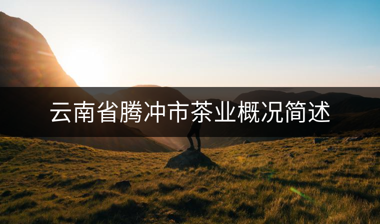 云南省騰沖市茶業(yè)概況簡(jiǎn)述
