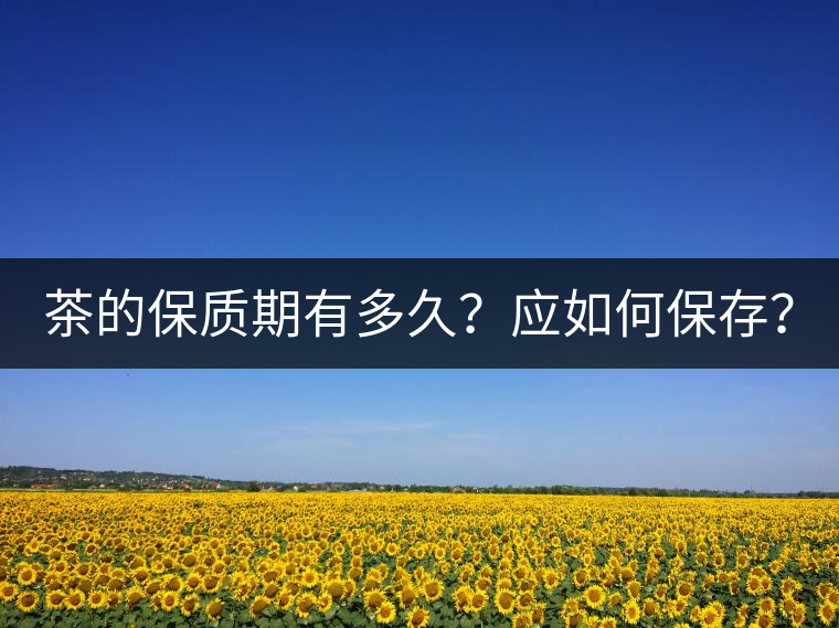 茶的保質(zhì)期有多久？應(yīng)如何保存？