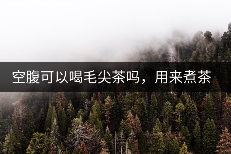 空腹可以喝毛尖茶嗎，用來煮茶葉蛋怎么樣？