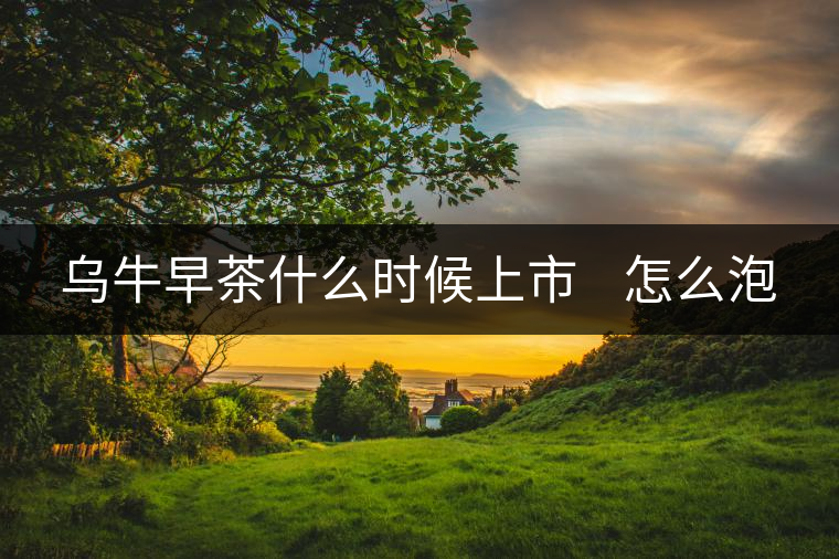 烏牛早茶什么時(shí)候上市    怎么泡