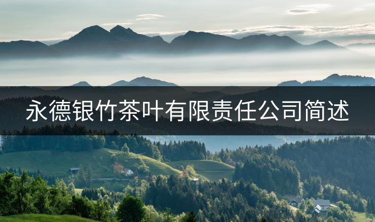 永德銀竹茶葉有限責任公司簡述