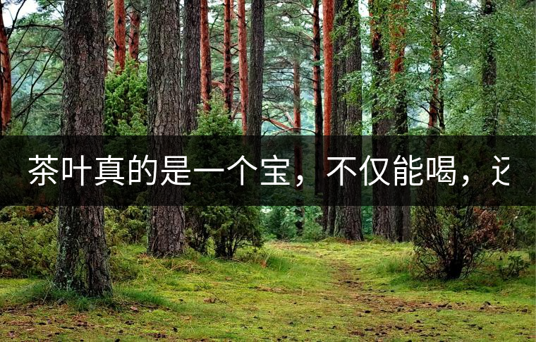 茶葉真的是一個寶，不僅能喝，還能用！