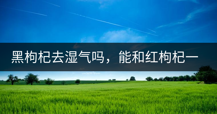黑枸杞去濕氣嗎，能和紅枸杞一起泡嗎？