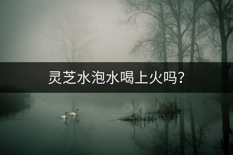 靈芝水泡水喝上火嗎？