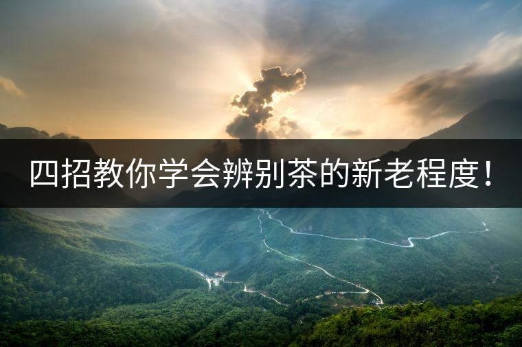 四招教你學(xué)會(huì)辨別茶的新老程度！