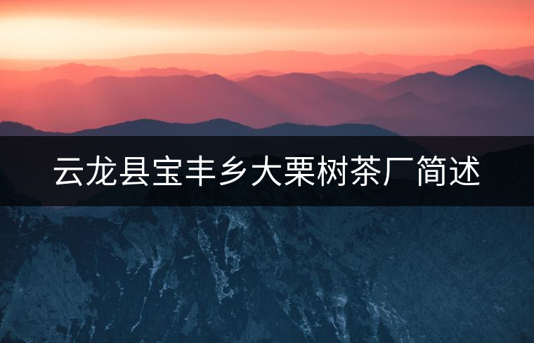 云龍縣寶豐鄉(xiāng)大栗樹茶廠簡述