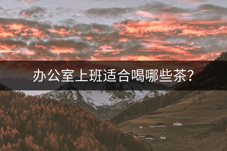 辦公室上班適合喝哪些茶？