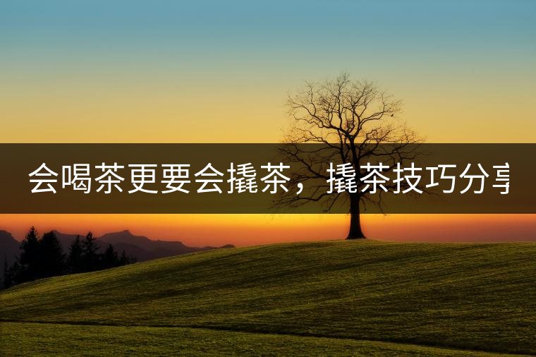會(huì)喝茶更要會(huì)撬茶，撬茶技巧分享！