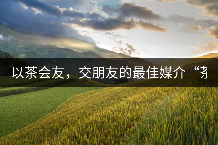 以茶會(huì)友，交朋友的最佳媒介“茶”！