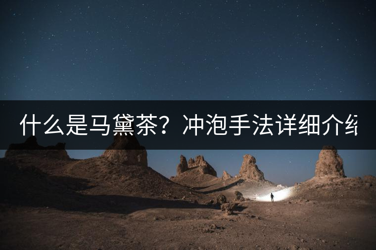 什么是馬黛茶？沖泡手法詳細(xì)介紹！