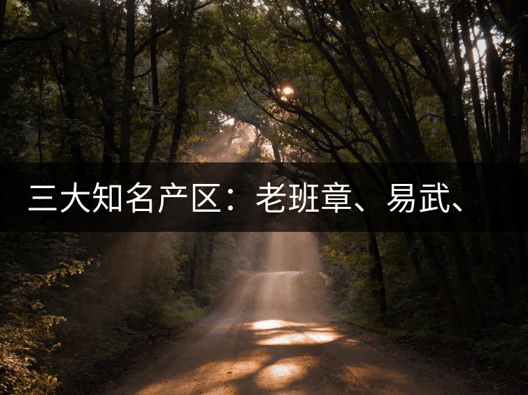 三大知名產(chǎn)區(qū)：老班章、易武、景邁三大茶系都有哪些特點！