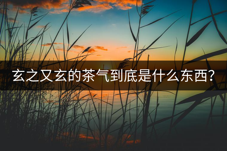 玄之又玄的茶氣到底是什么東西？