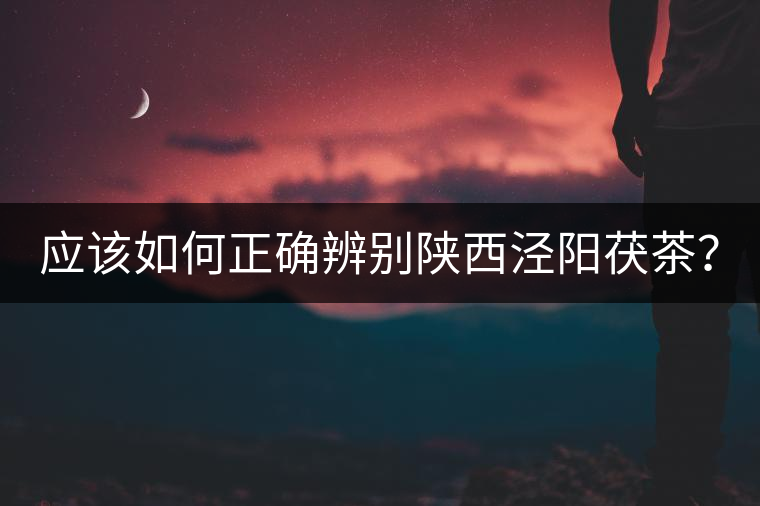 應(yīng)該如何正確辨別陜西涇陽茯茶？