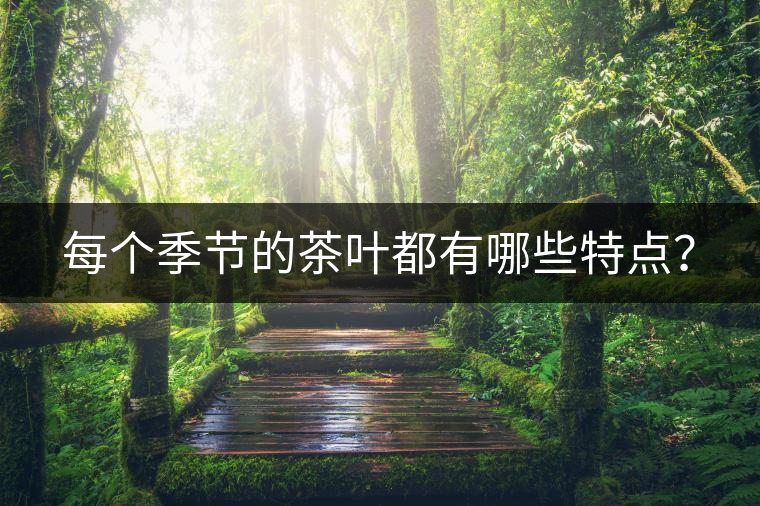 每個季節(jié)的茶葉都有哪些特點？