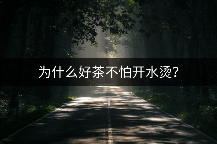 為什么好茶不怕開水燙？