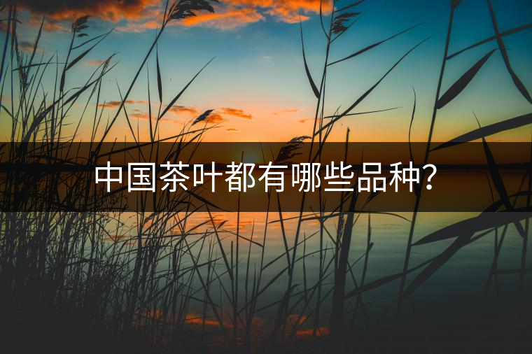 中國茶葉都有哪些品種？