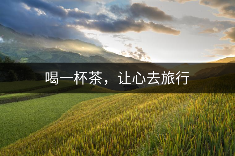 喝一杯茶，讓心去旅行