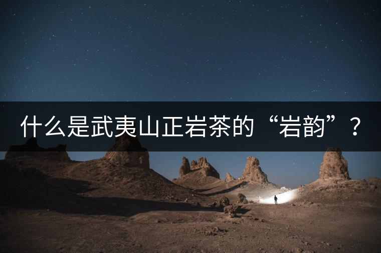 什么是武夷山正巖茶的“巖韻”？