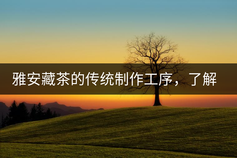 雅安藏茶的傳統(tǒng)制作工序，了解了傳統(tǒng)技藝才能更好的了解茶品！