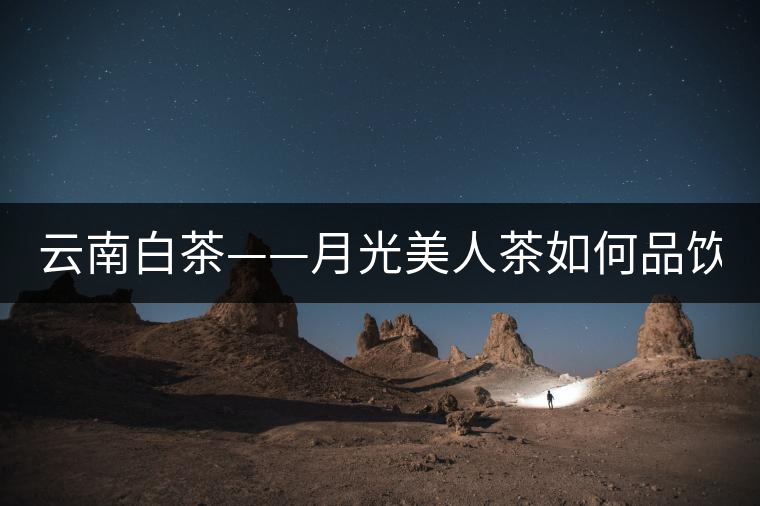 云南白茶——月光美人茶如何品飲？