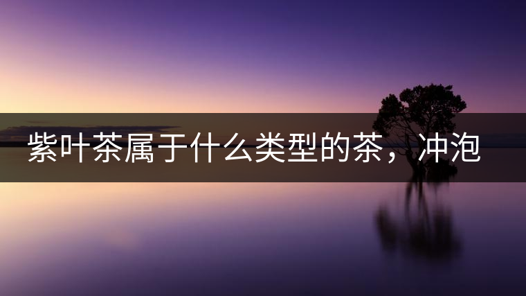 紫葉茶屬于什么類型的茶，沖泡需要注意什么？