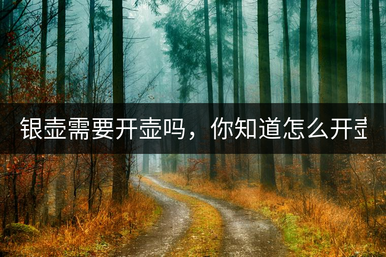 銀壺需要開壺嗎，你知道怎么開壺？