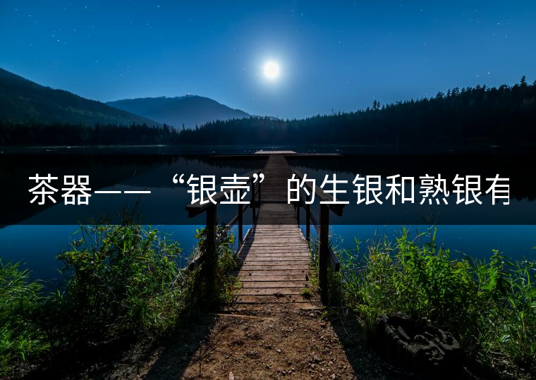 茶器——“銀壺”的生銀和熟銀有什么區(qū)別嗎？