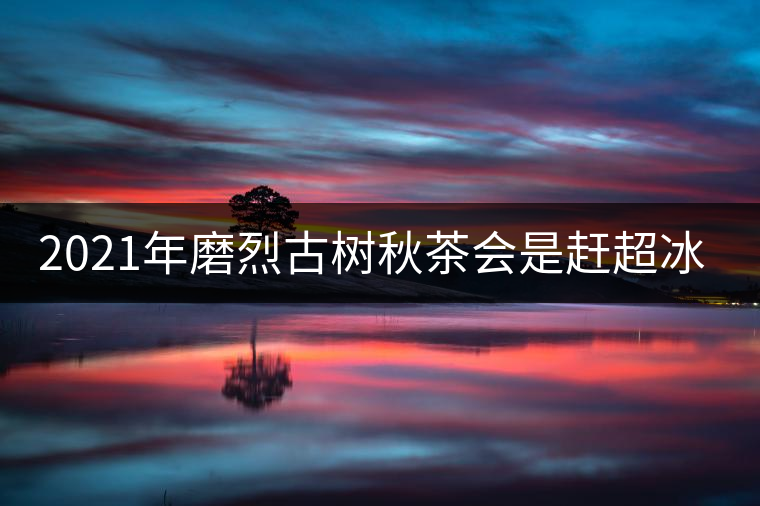 2021年磨烈古樹(shù)秋茶會(huì)是趕超冰島的存在嗎？