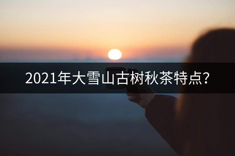 2021年大雪山古樹秋茶特點(diǎn)？