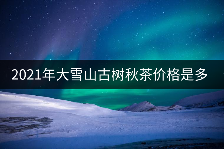 2021年大雪山古樹秋茶價格是多少？
