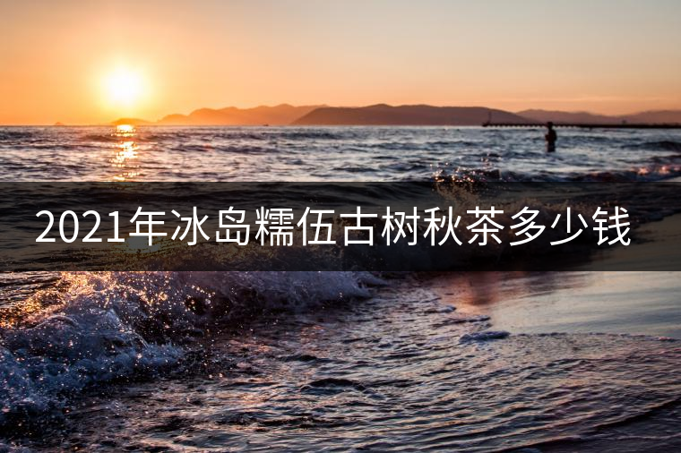 2021年冰島糯伍古樹秋茶多少錢一公斤？