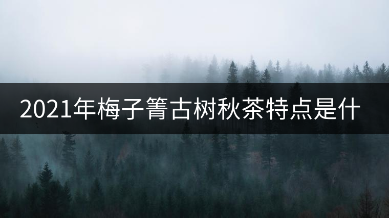 2021年梅子箐古樹秋茶特點是什么？