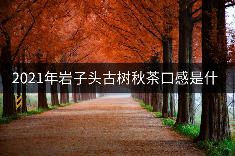 2021年巖子頭古樹(shù)秋茶口感是什么？