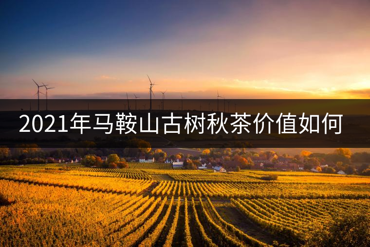 2021年馬鞍山古樹秋茶價值如何？